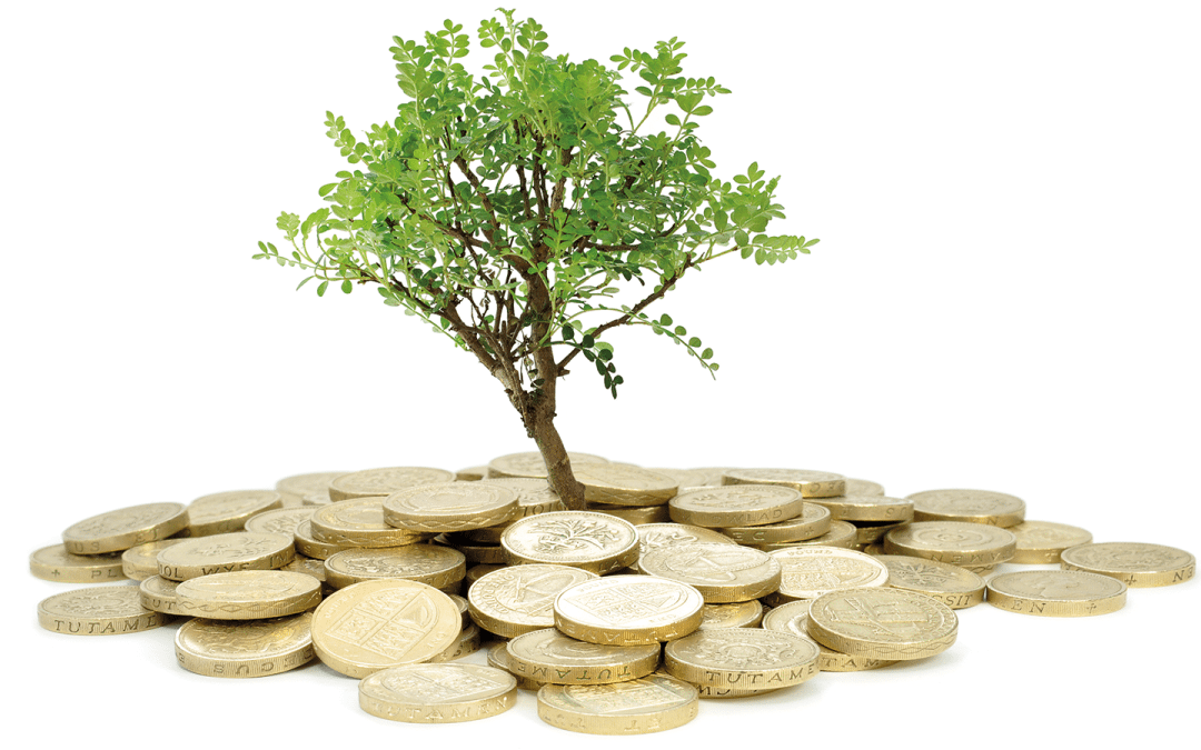 Self Assessment Tax Return Advice Footprints Accountancy